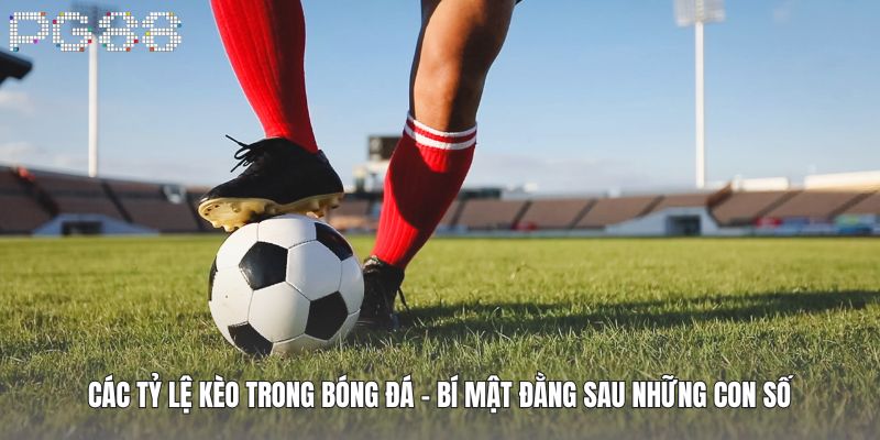 Các Tỷ Lệ Kèo Trong Bóng Đá - Bí Mật Đằng Sau Những Con Số