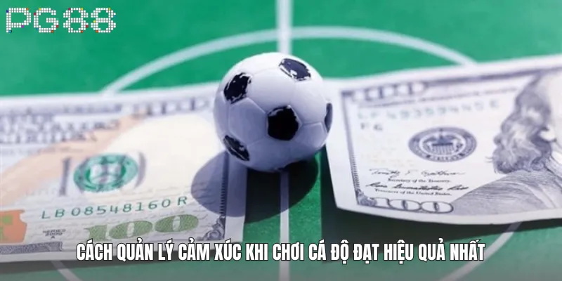 Cách Quản Lý Cảm Xúc Khi Chơi Cá Độ Đạt Hiệu Quả Nhất