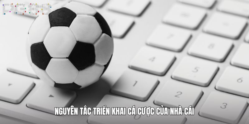Nguyên tắc triển khai cá cược của nhà cái