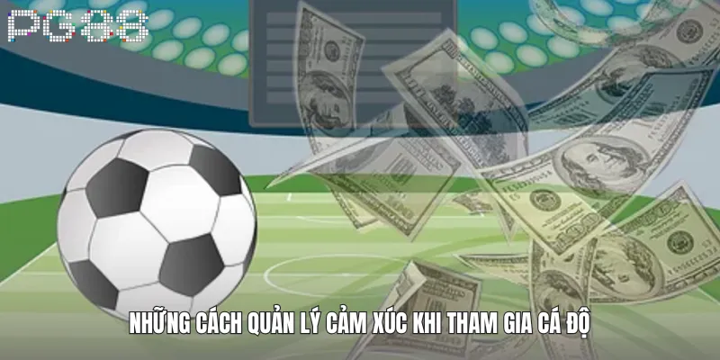 Những cách quản lý cảm xúc khi tham gia cá độ